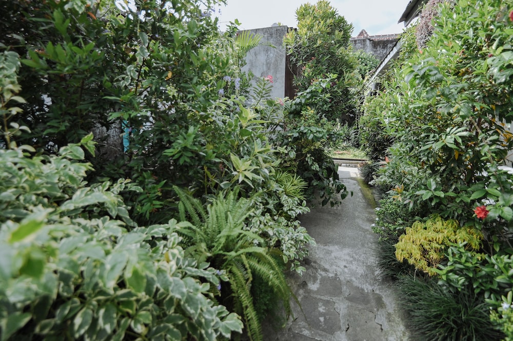 Snooze Guesthouse Yogyakarta - Hostel 42/50