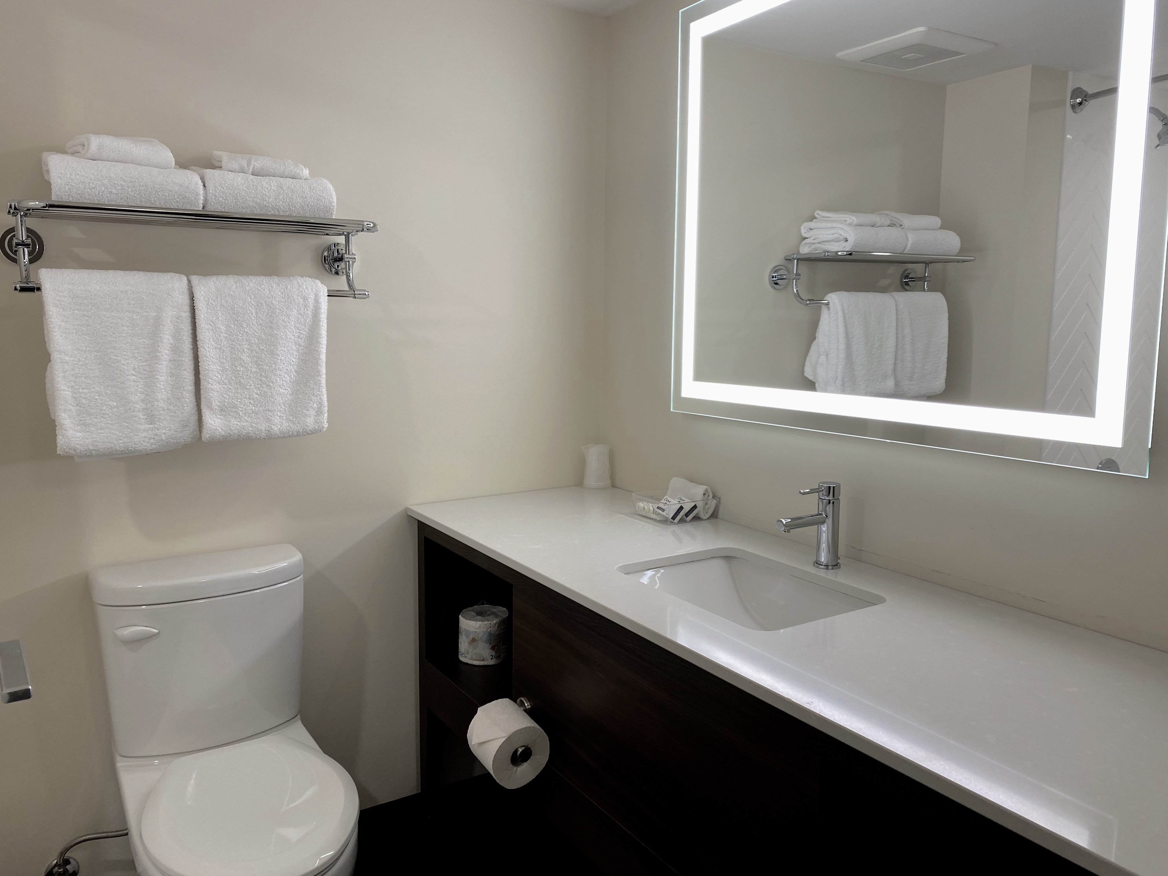 Elk Lake Inn Suites Victoria 81/81