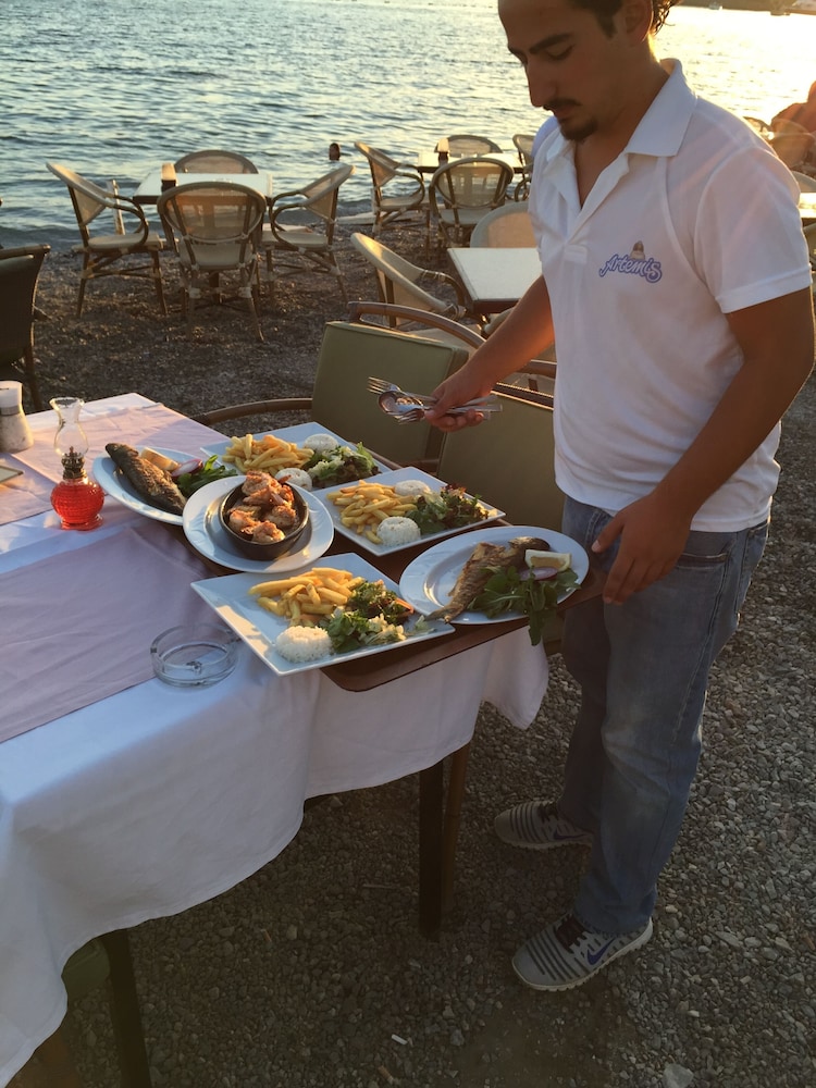 Artemis Hotel 48/69