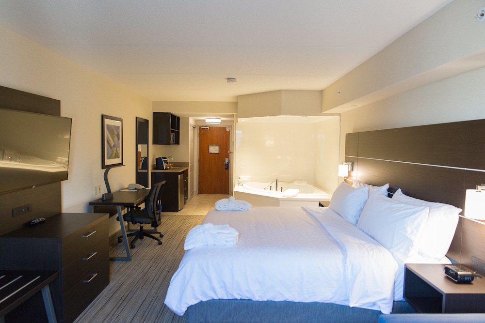 Holiday Inn Express Hotel And Suites Brampton 14/47
