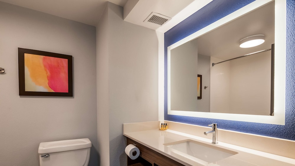 Best Western Plus Lexington Inn 19/41