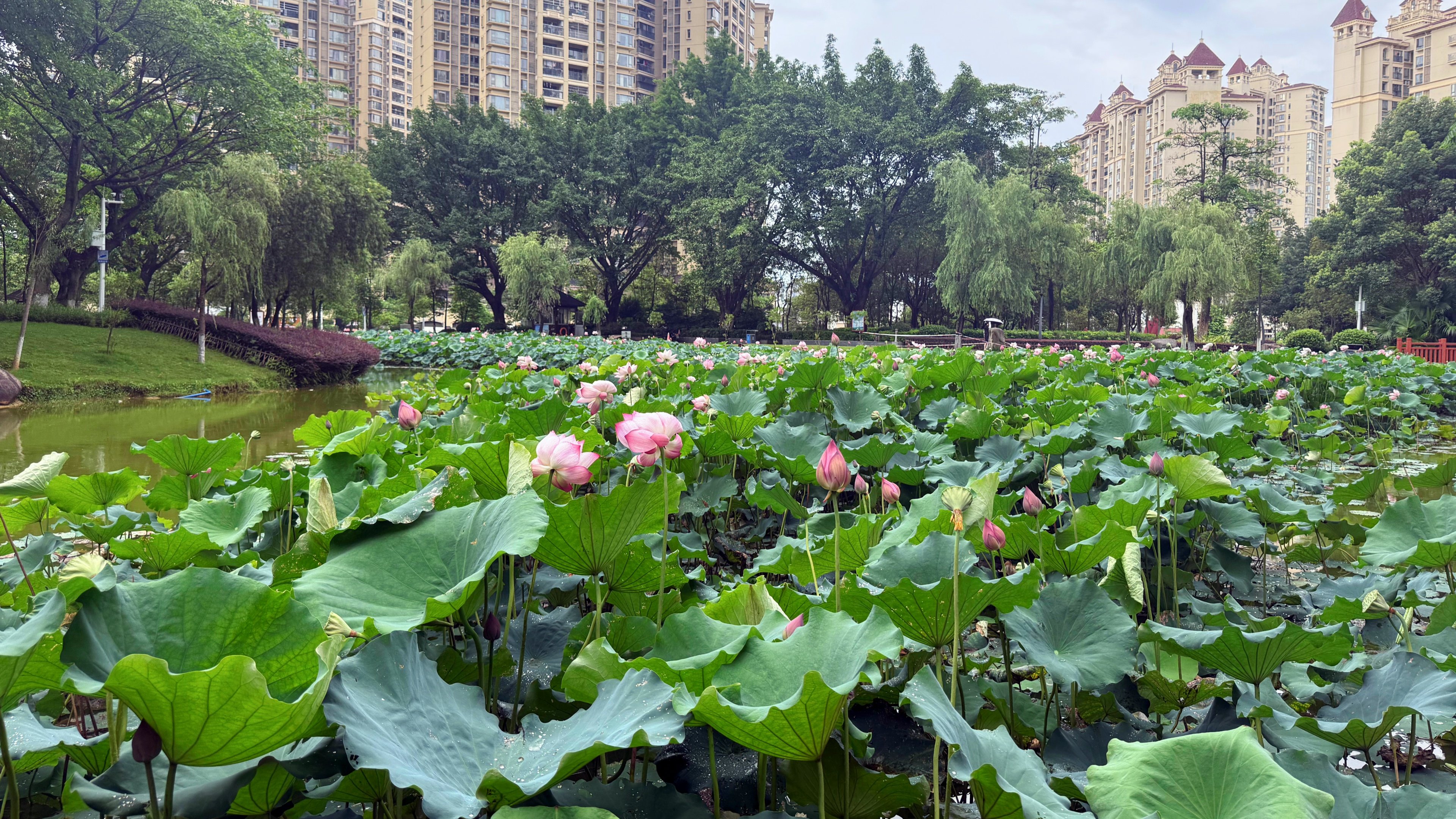 Holiday Inn Shaoguan Downtown Hotel 47/50