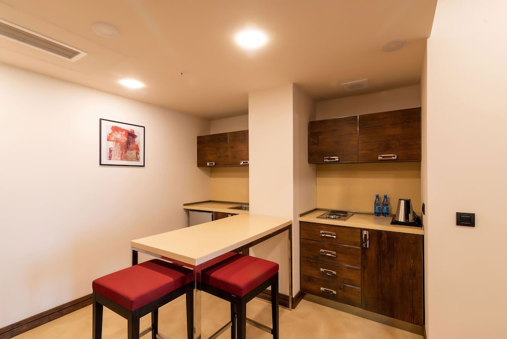 Ramada Hotel and Suites by Wyndham Yerevan 39/45