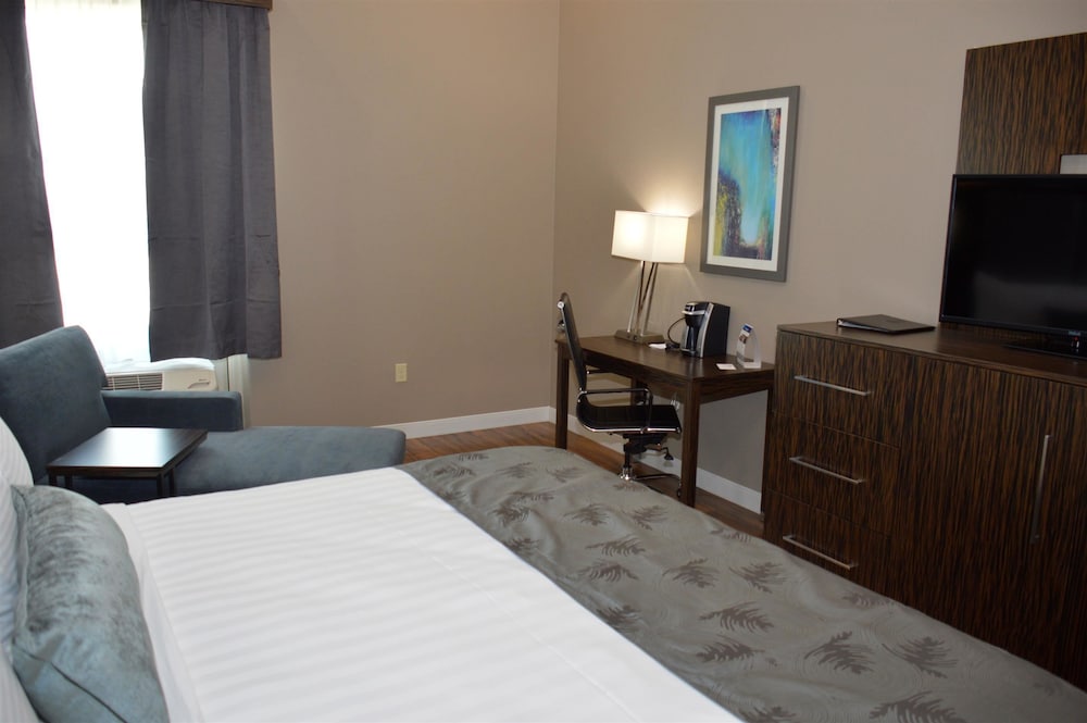 Best Western Plus Pflugerville Inn and Suites 13/37