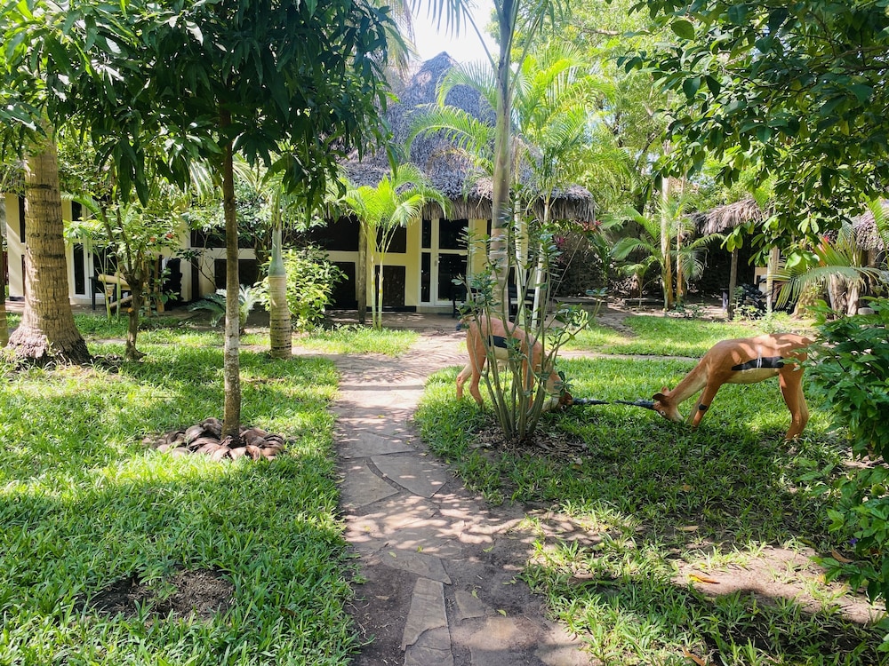 Perfect Home Two minutes to Kijiji Beach [VR] 40/50
