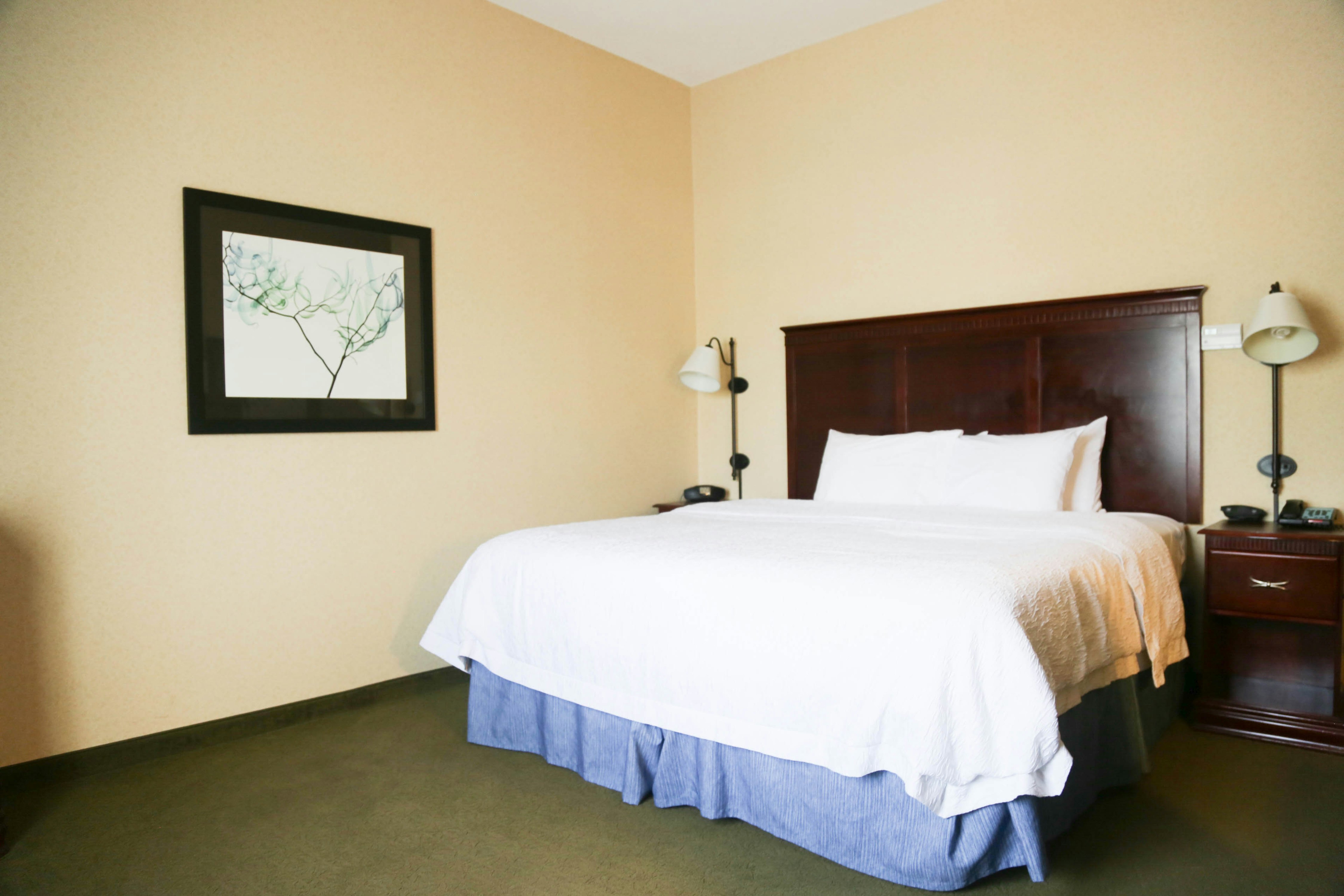 Room, King Bed