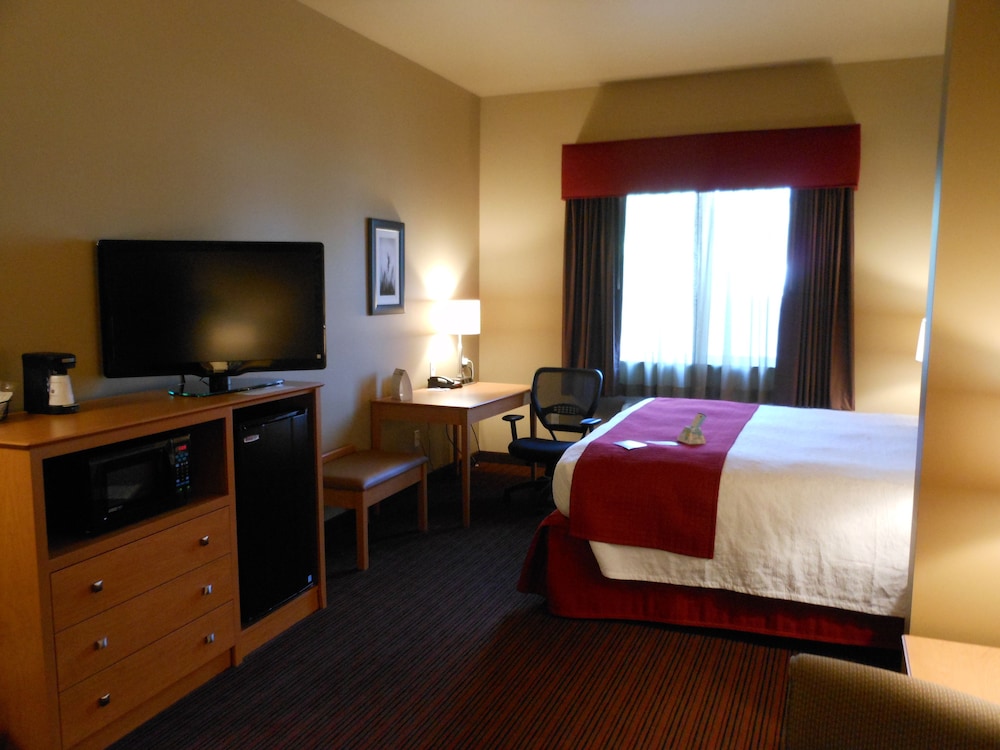 Best Western Golden Prairie Inn & Suites 14/38