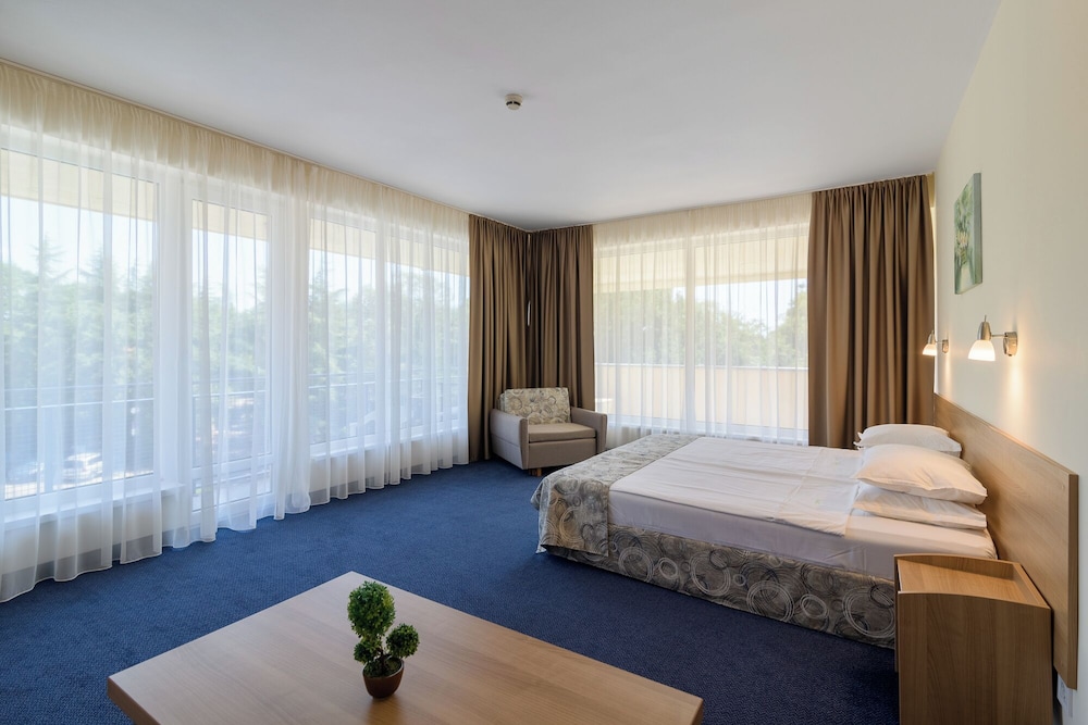 BSA Gradina Hotel & Aquapark 20/57
