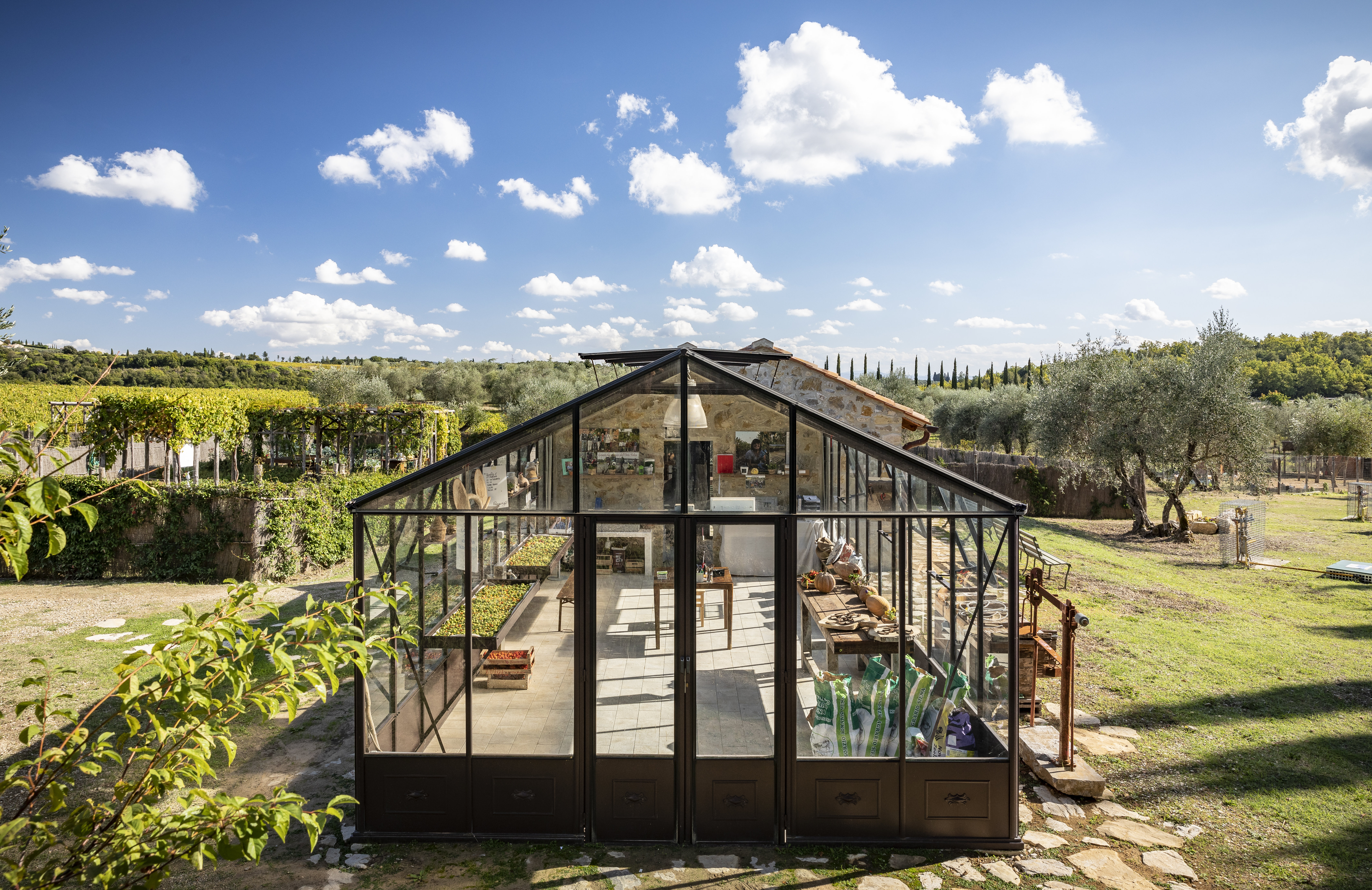 Borgo San Felice 2/50