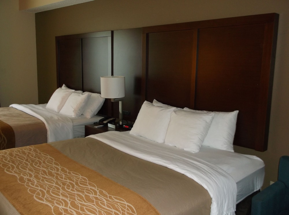Comfort Inn and Suites Seguin, TX 13/37