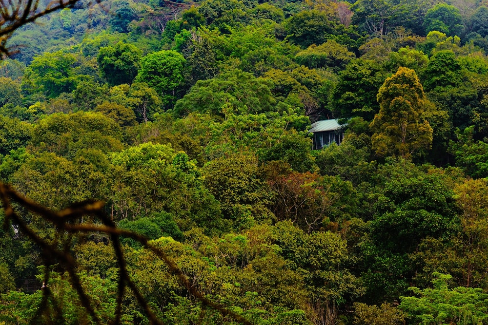 Wayanad Wild - Cgh Earth 26/48