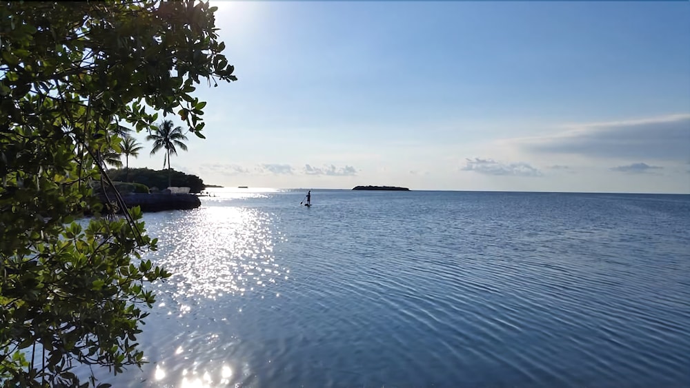 Coconut Cay Resort &amp; Marina 38/78