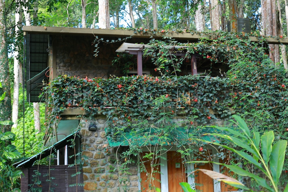 GREEN SPACES MUNNAR 48/52