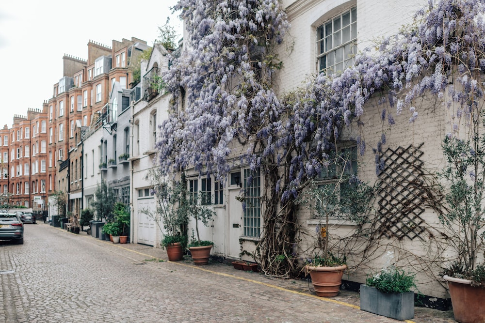 The Knaresborough by Aura Collection 45/50