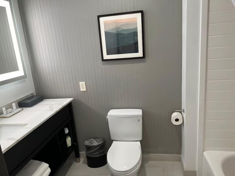غرفة أساسية بسرير كينج لذوي الإعاقة، La Quinta Inn & Suites by Wyndham Manchester / Arnold AFB 2/3