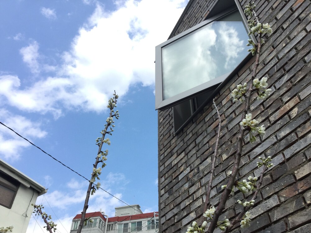 Inside Busan Hostel 5/50