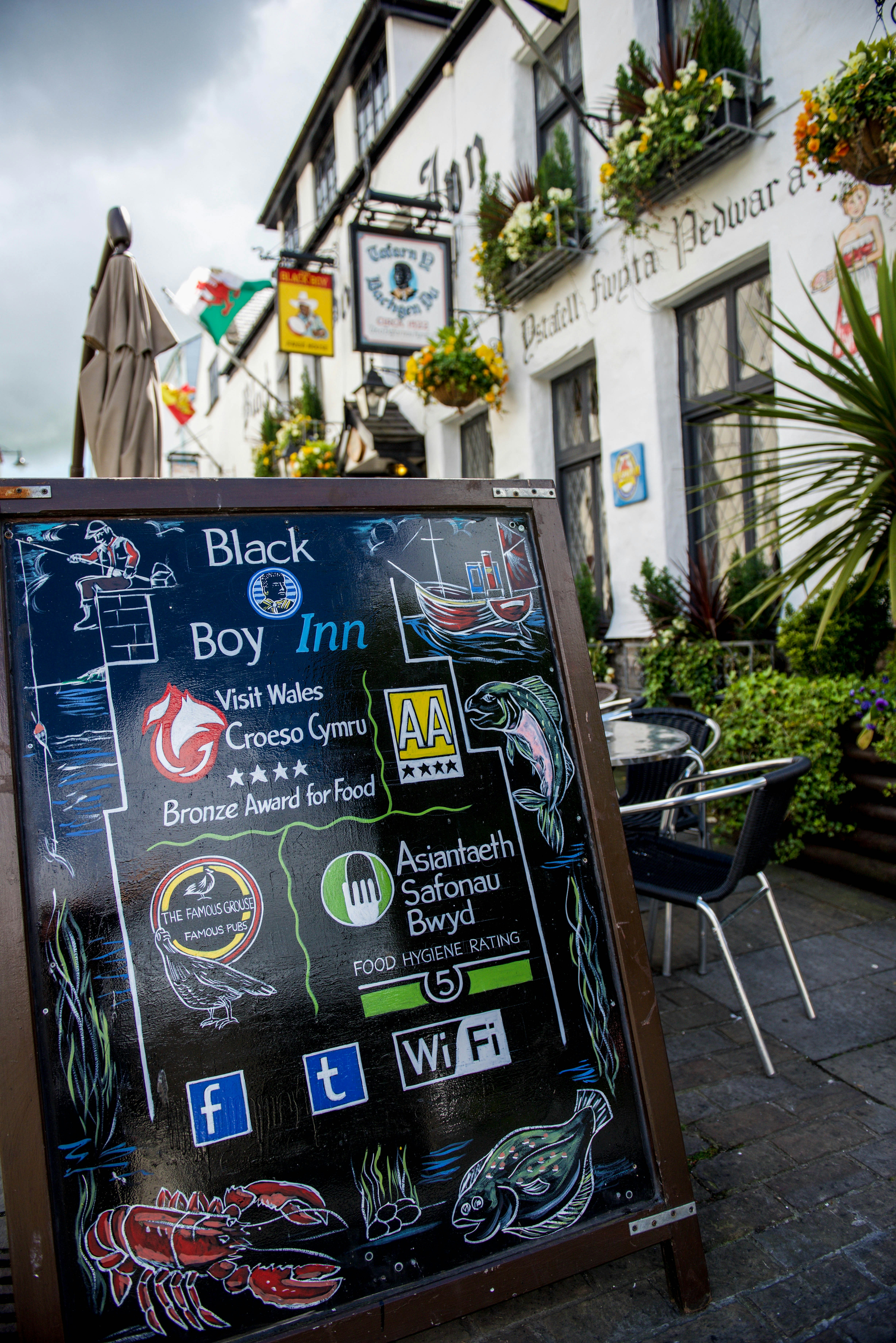 BLACK BOY INN 9/50