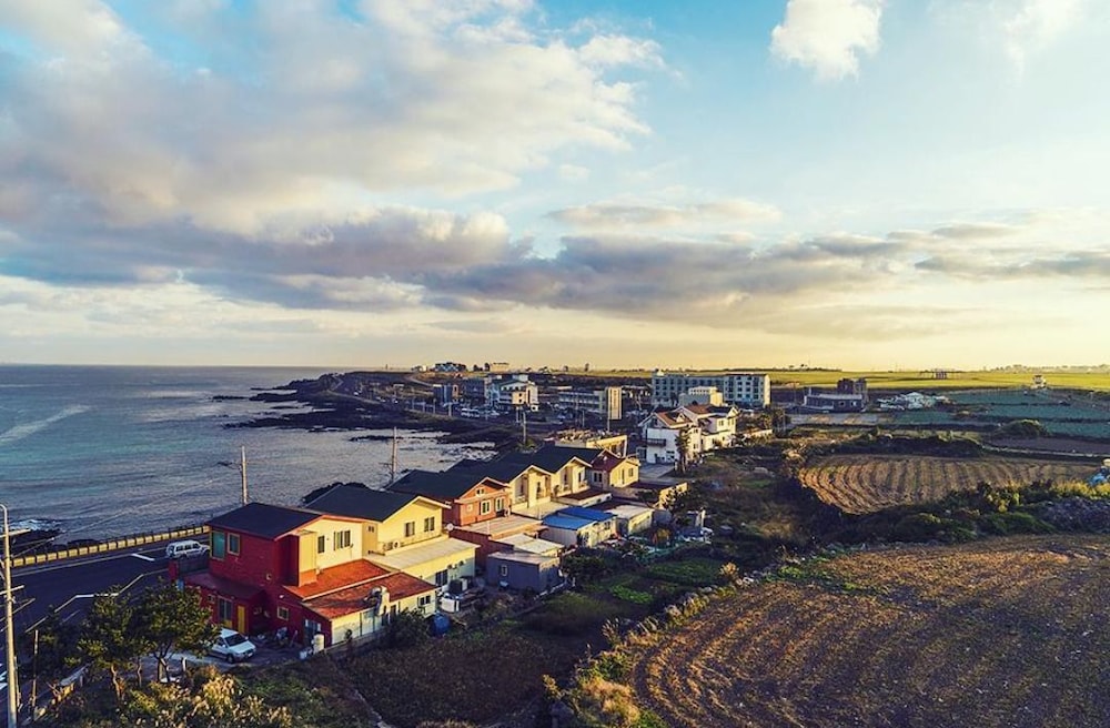 Jeju Miracle Guest House 43/60