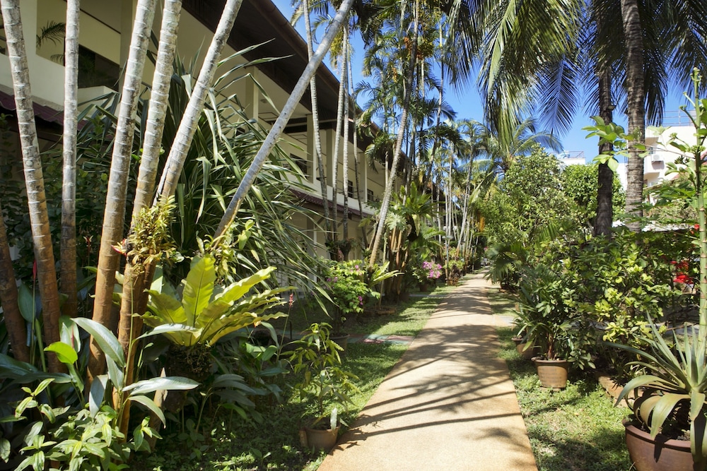 Patong Palace Hotel 36/50