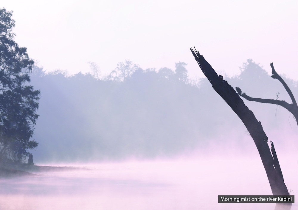 The Serai Kabini 32/47