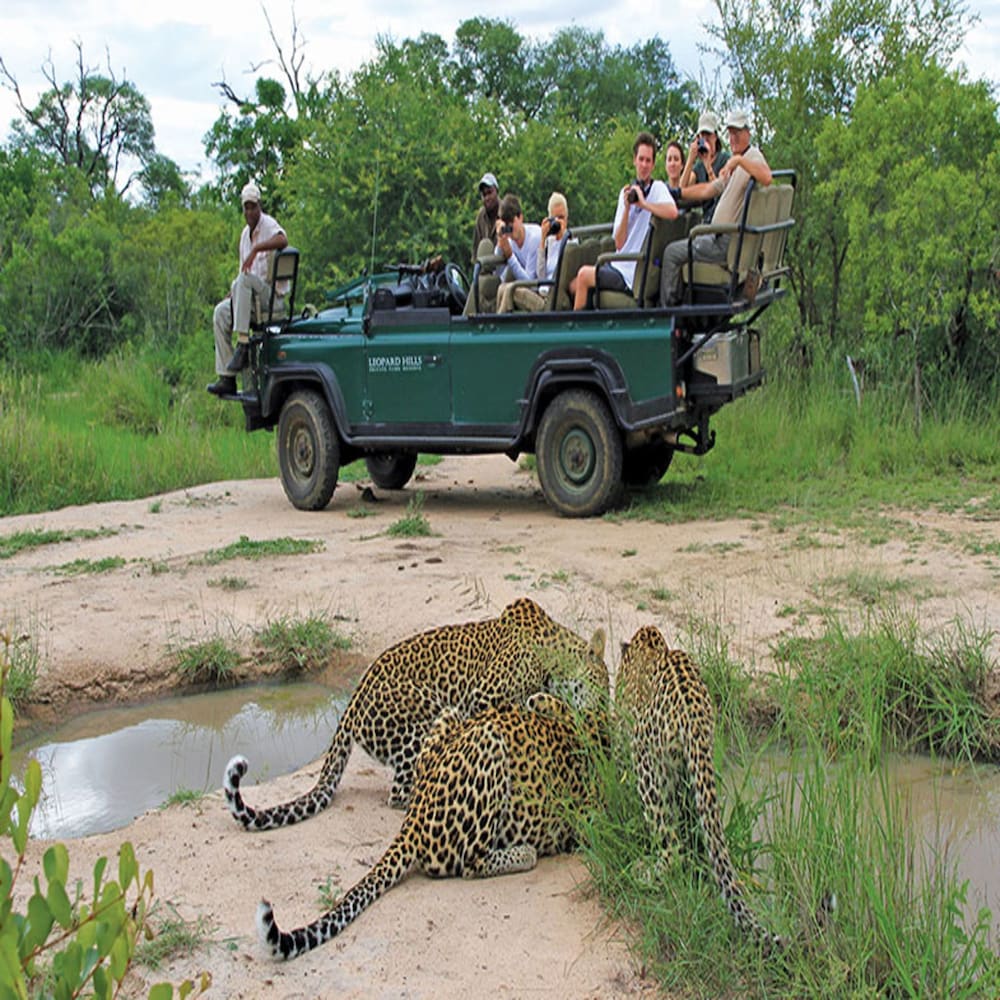 Leopard Hills 23/37