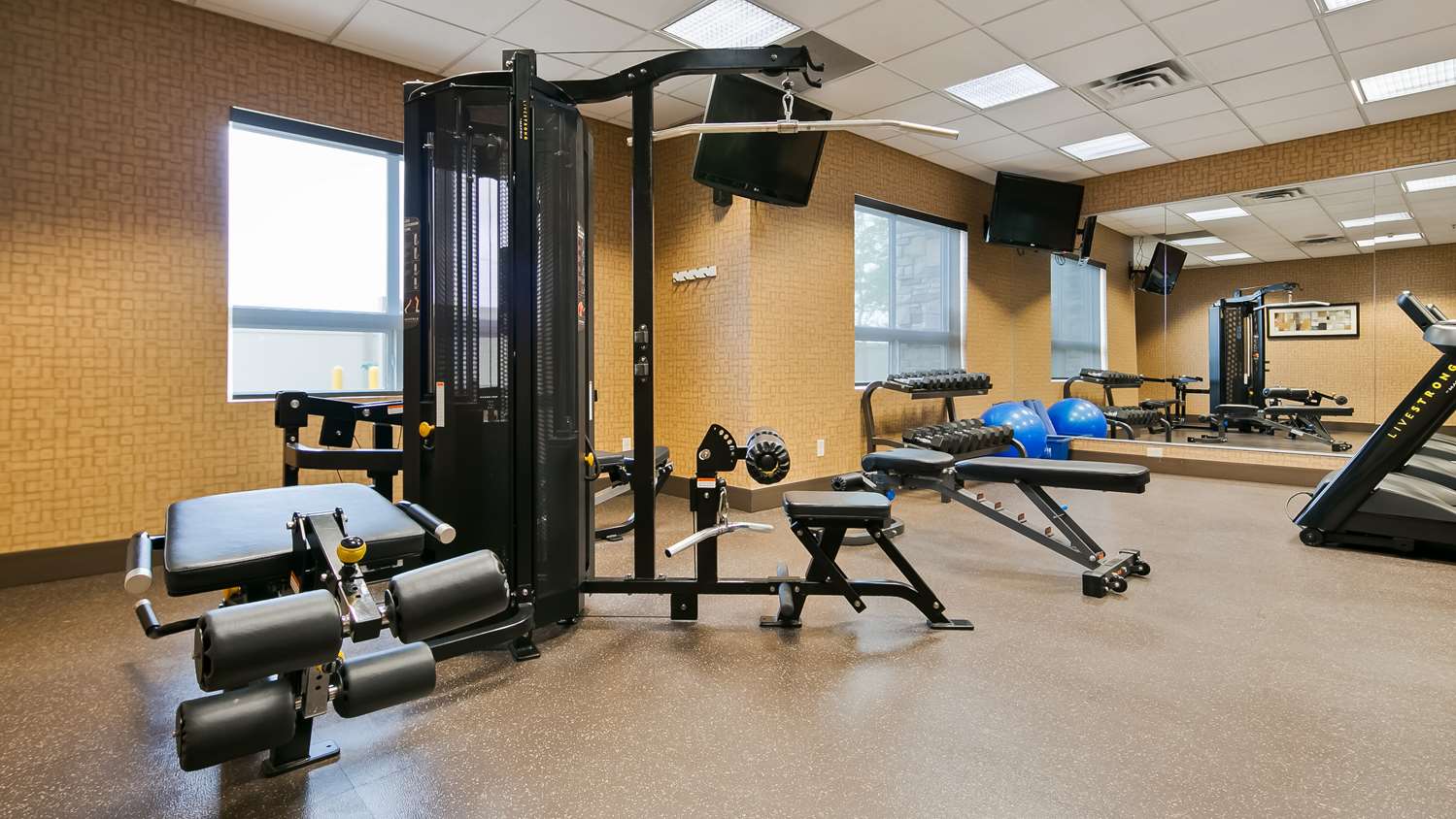 Best Western Premier Freeport Inn Calgary Airport 24/54