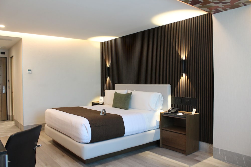 Hotel Portobelo 14/46