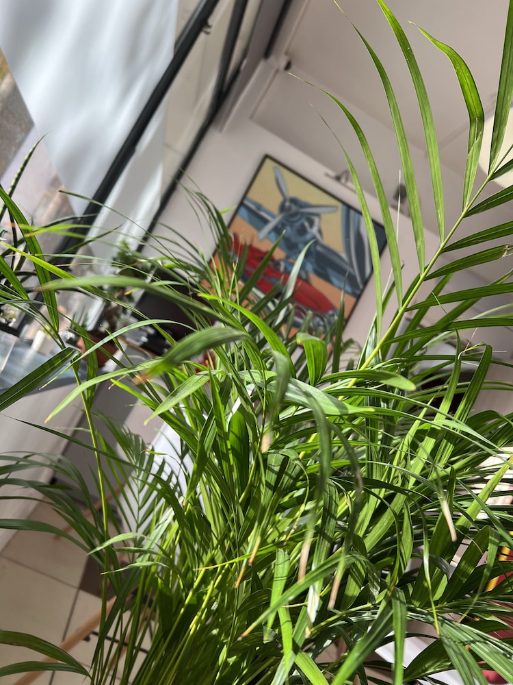 Hotel Vieille Tour 3/26
