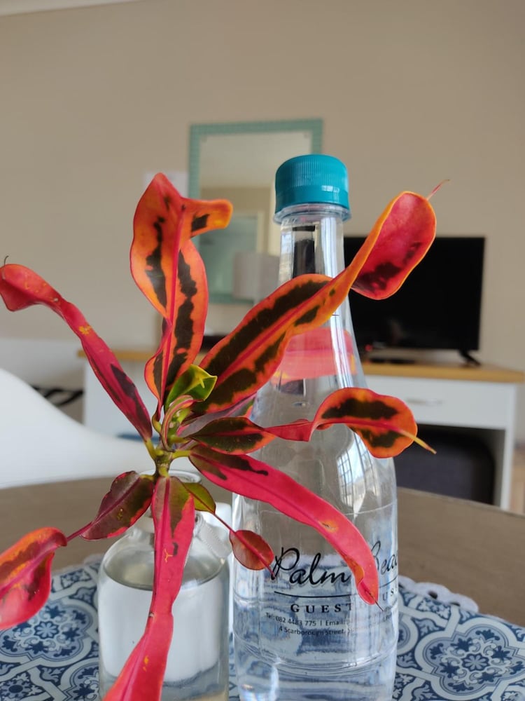 Palm Beach Guesthouse photo4