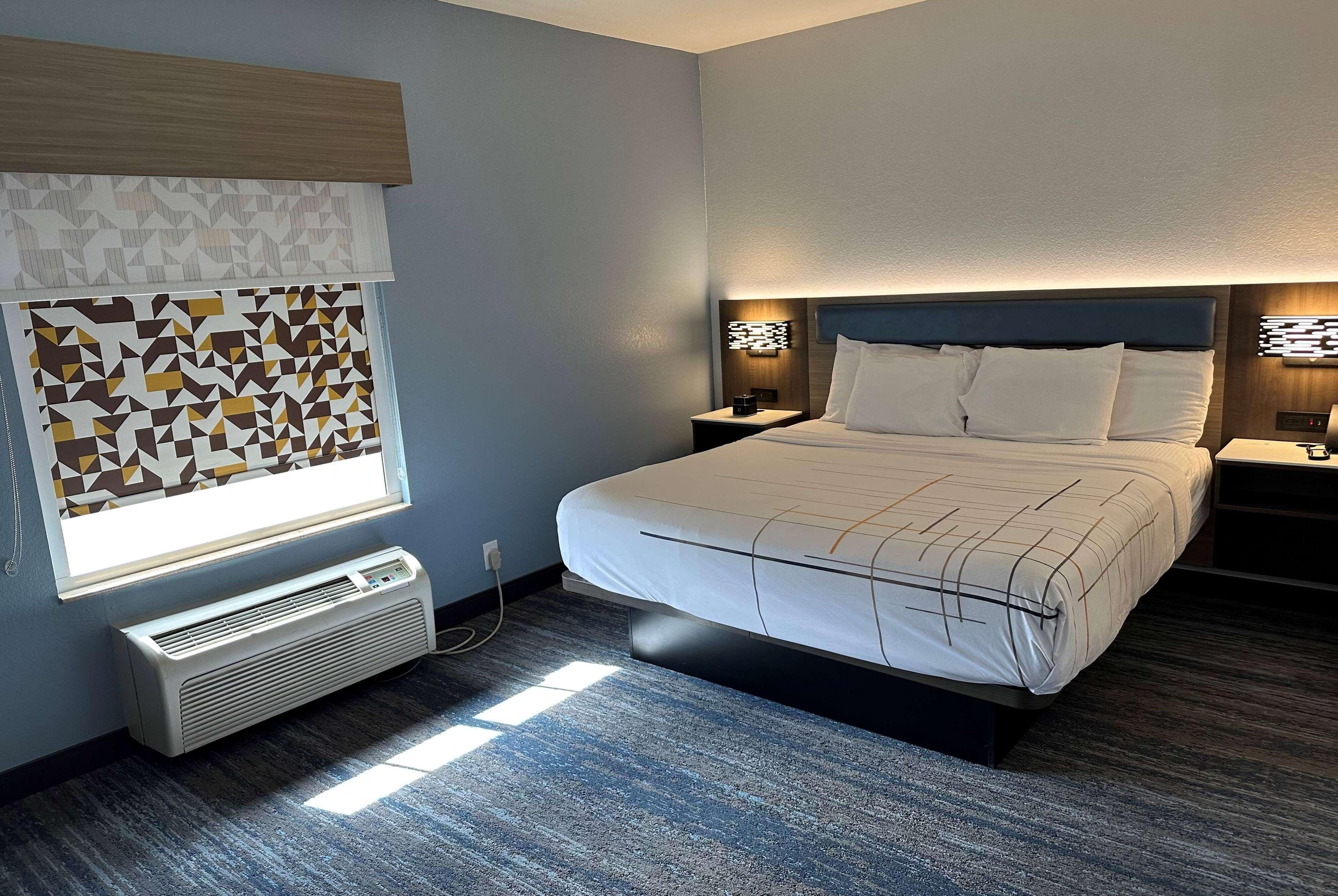 Suite, King Bed