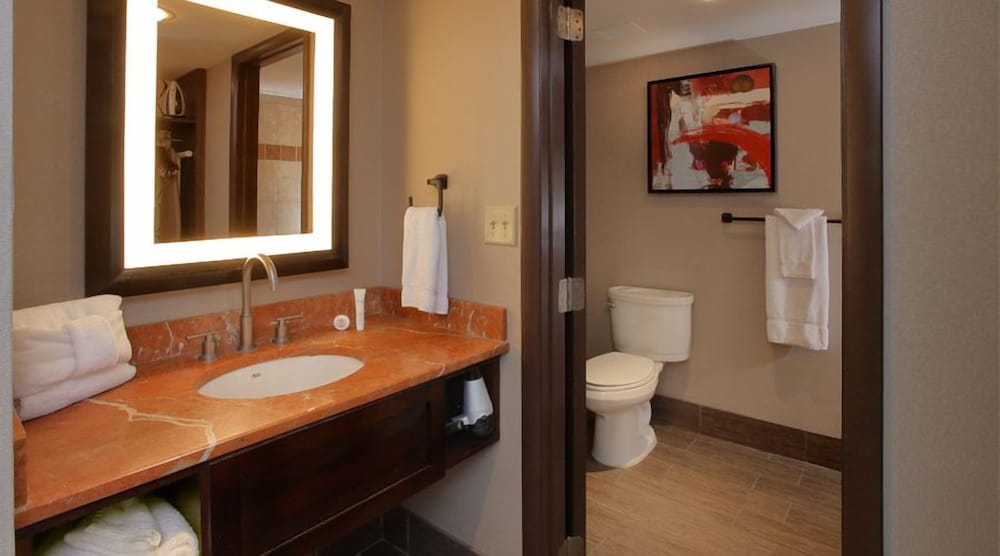 Blue Chip Casino Hotel And Spa 46/47
