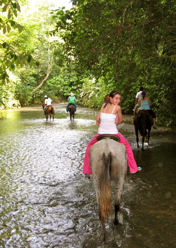 Bosque del Cabo Rain Forest Lodge 37/42
