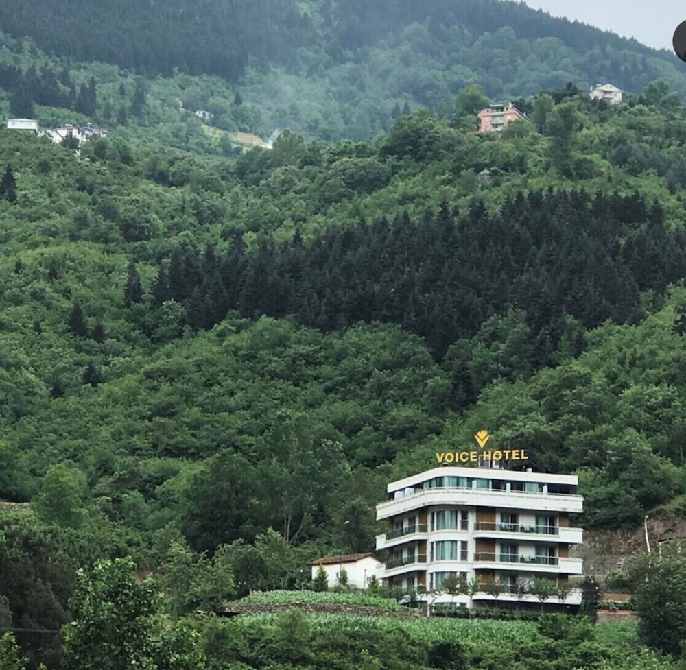 VOICE HOTEL 6/41