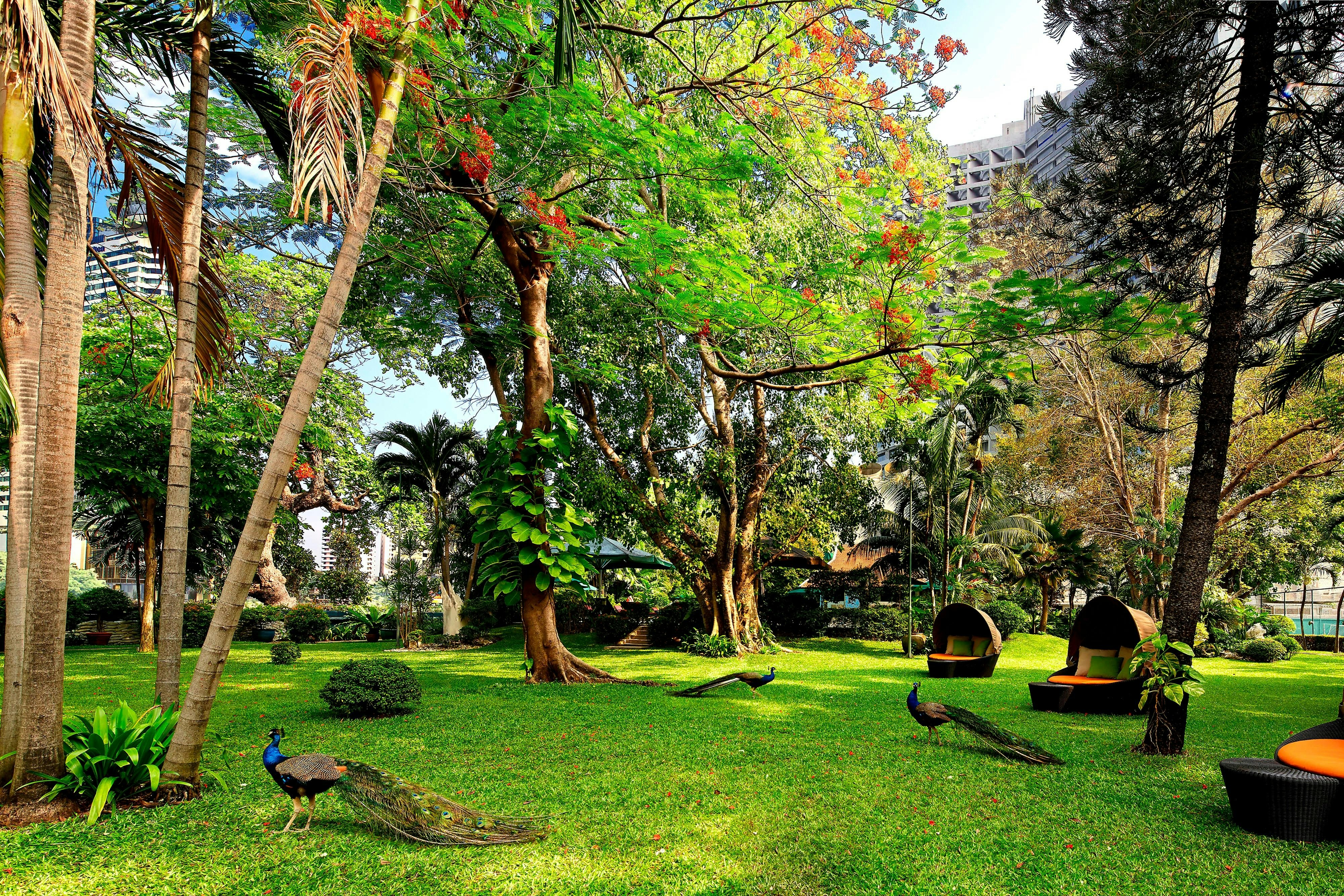 Royal Orchid Sheraton Riverside Hotel Bangkok 33/33
