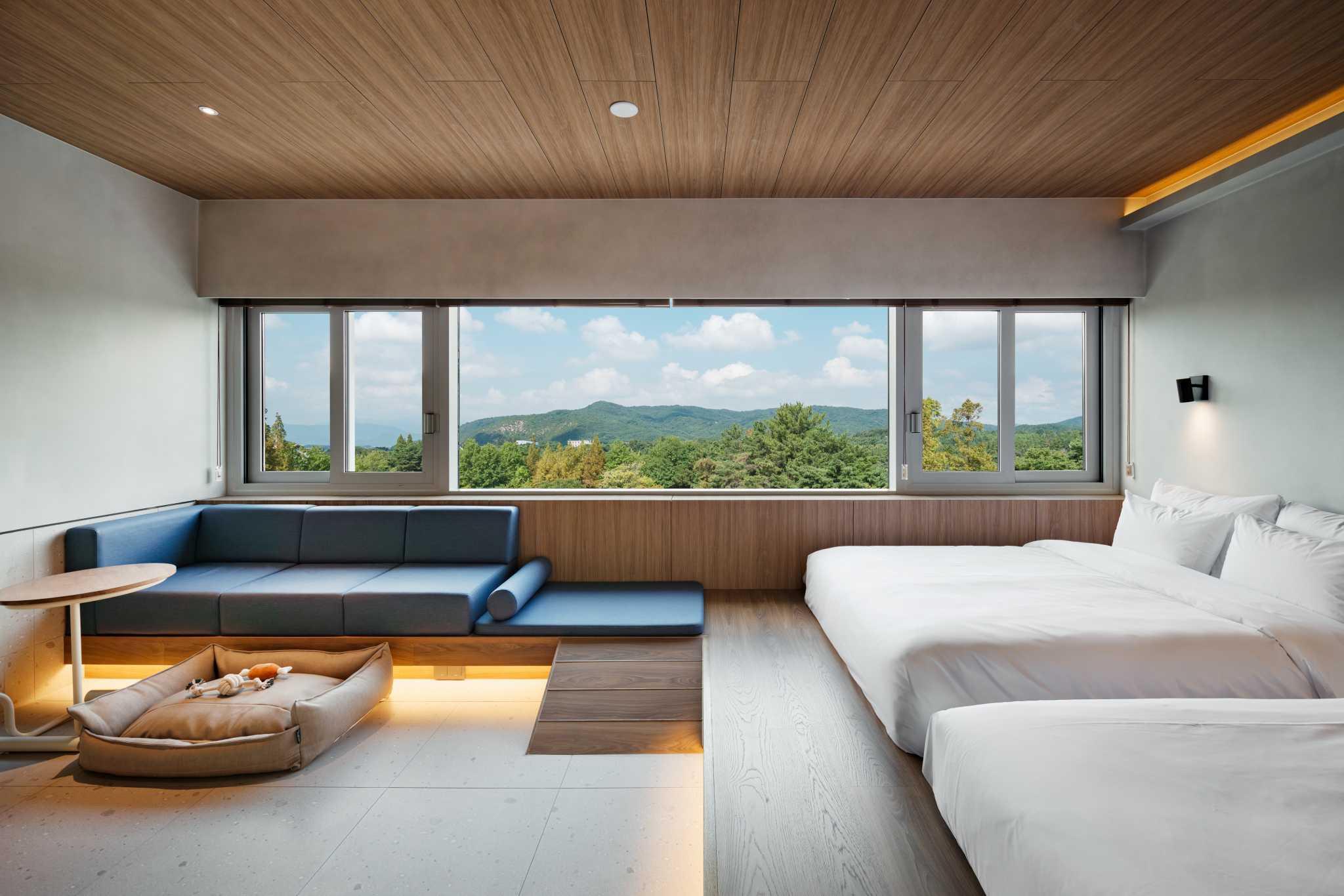 Kinok, Suite, Pet Friendly