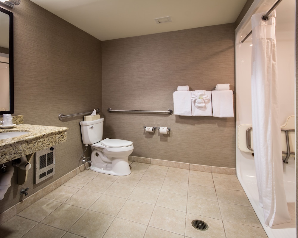 Holiday Inn Express Hotel And Suites Auburn 10/42
