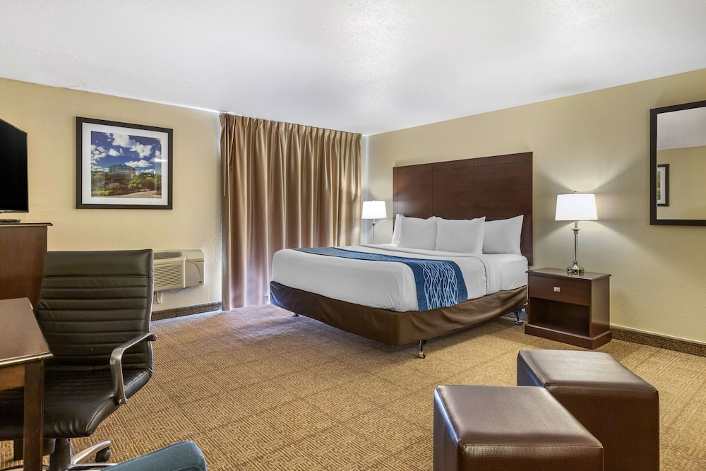 Comfort Inn Grand Rapids Airport 15/35