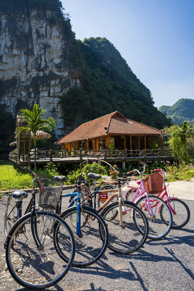 Lotus Field Homestay 33/50