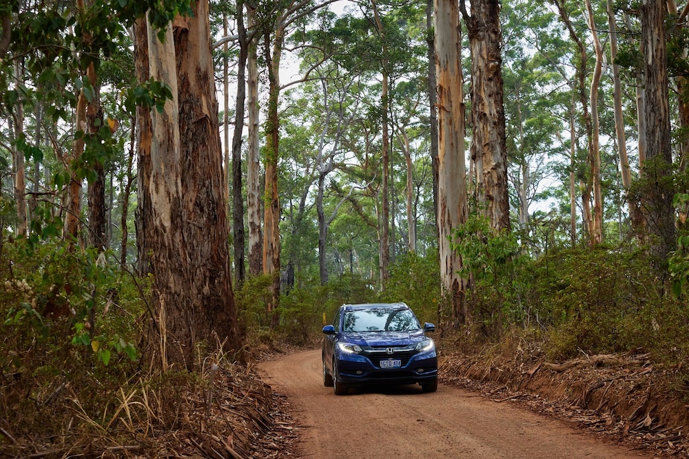 RAC Margaret River Nature Park 32/50