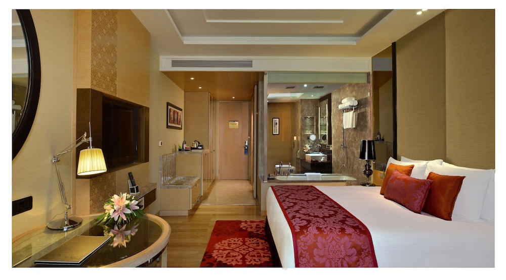 Radisson Blu Hotel Jaipur Airport 7/66