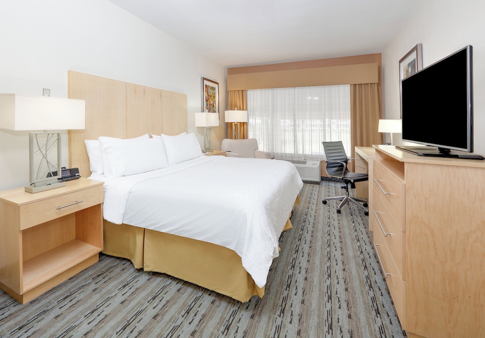 Suite, King Bed, Sofa