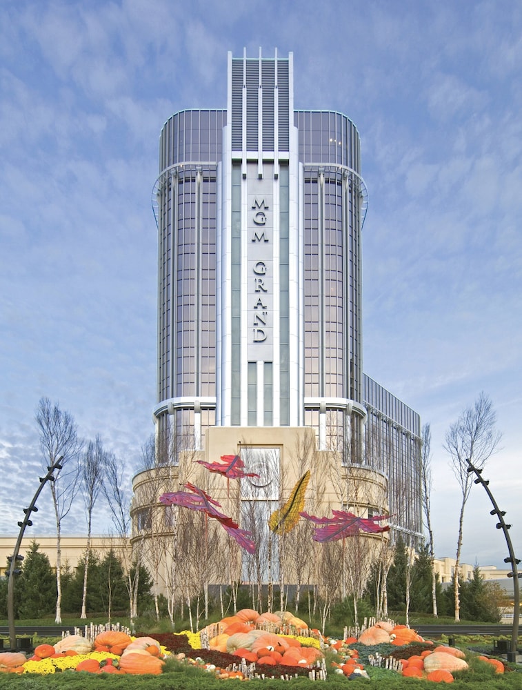 底特律米高梅大酒店(MGM Grand Detroit) 图片5