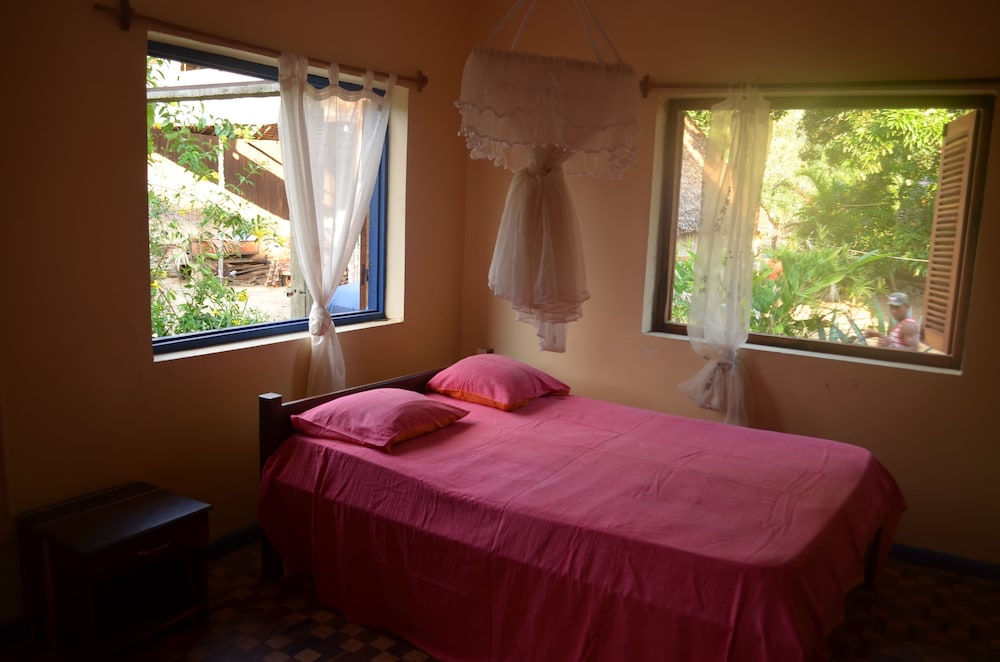 Reva Castel 10/50