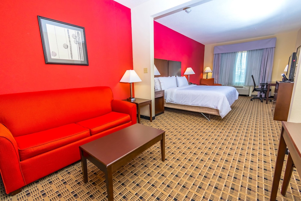Holiday Inn Express & Suites Houston Space Ctr - Clear Lake 17/50