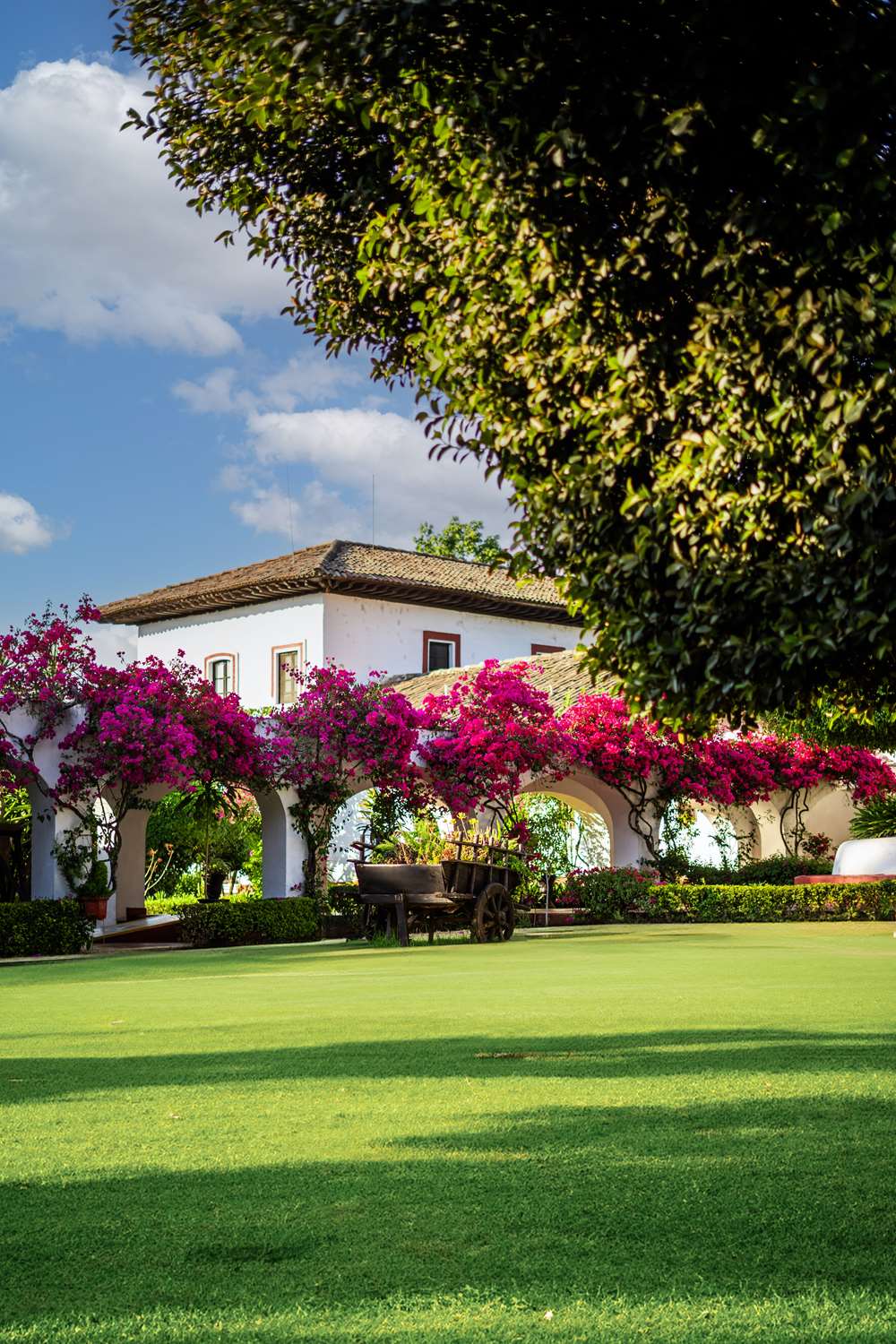 Best Western Plus Posada De Don Vasco 36/49