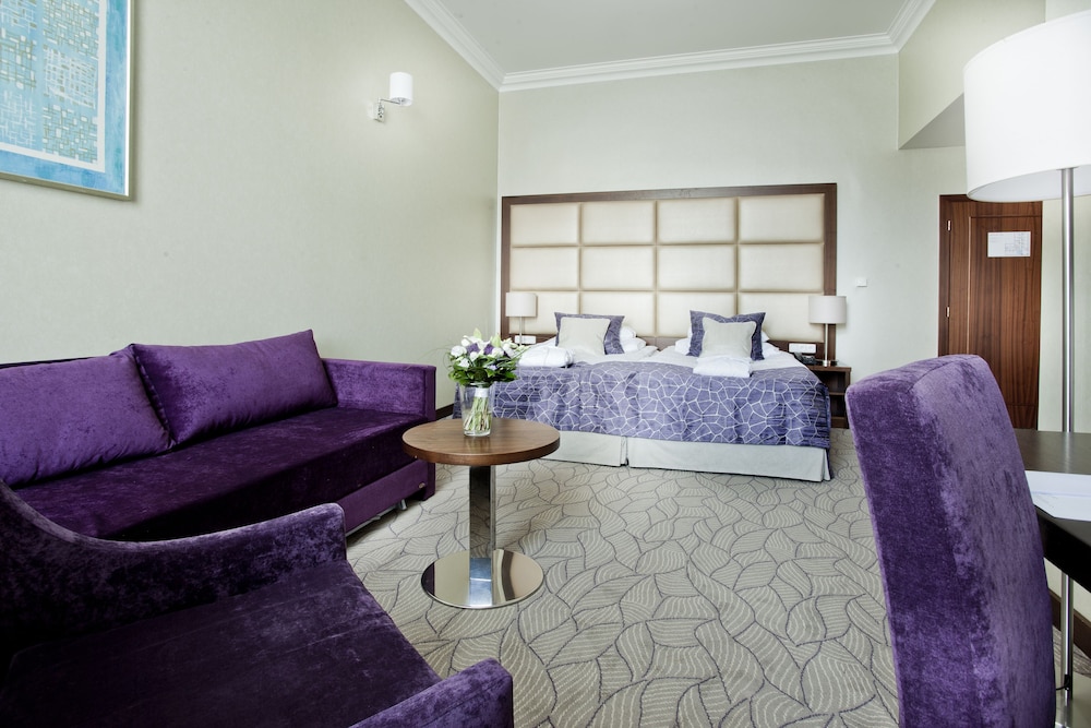 Kosher Hotel KING DAVID Prague 26/45