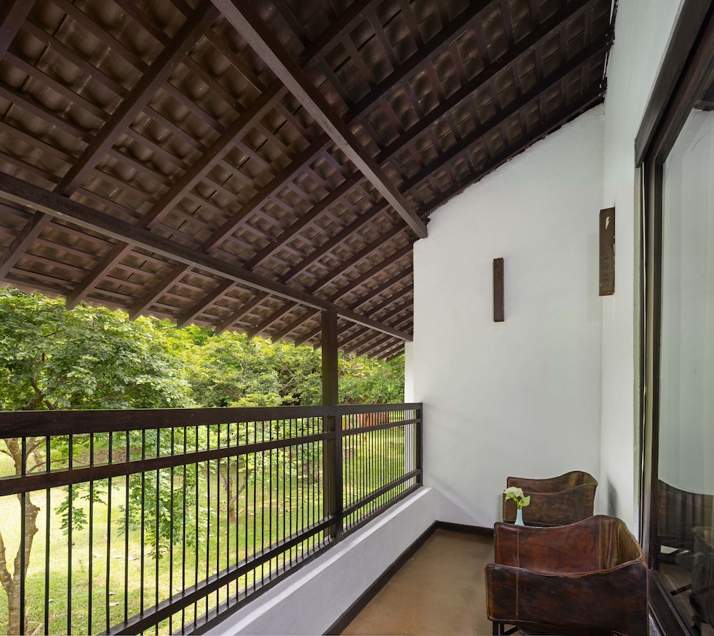 Sigiriya Jungles 25/50