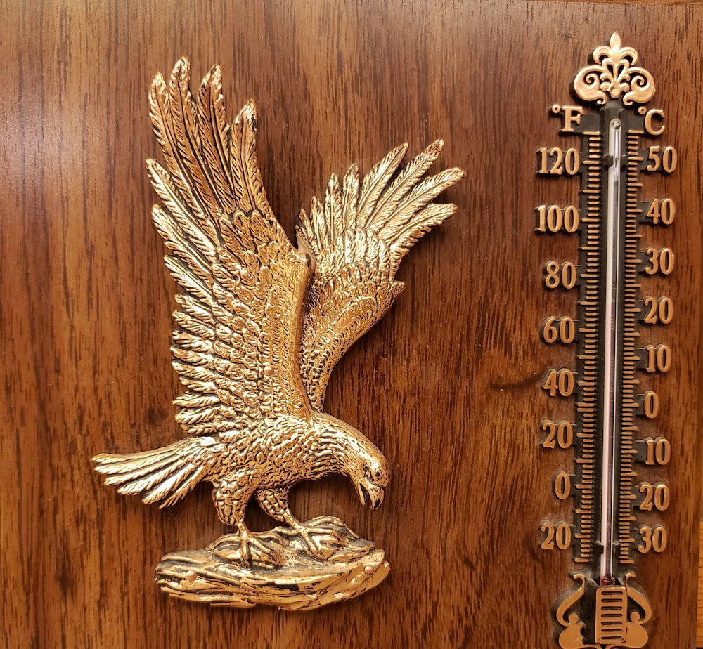 Swift Current Thriftlodge 28/61