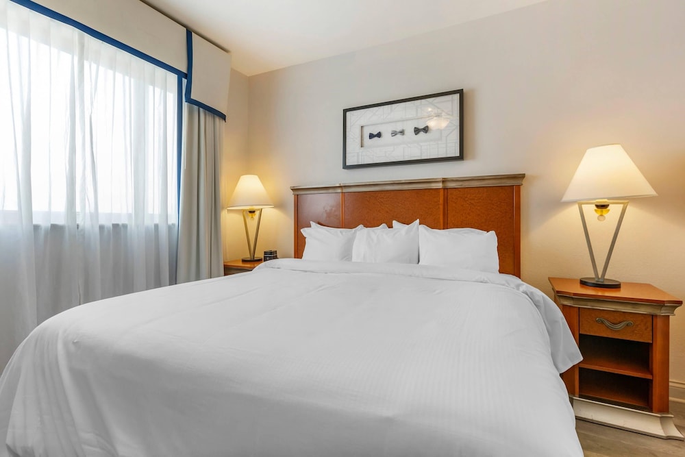 Suite, King and Queen Bed, Sofa, Accessible