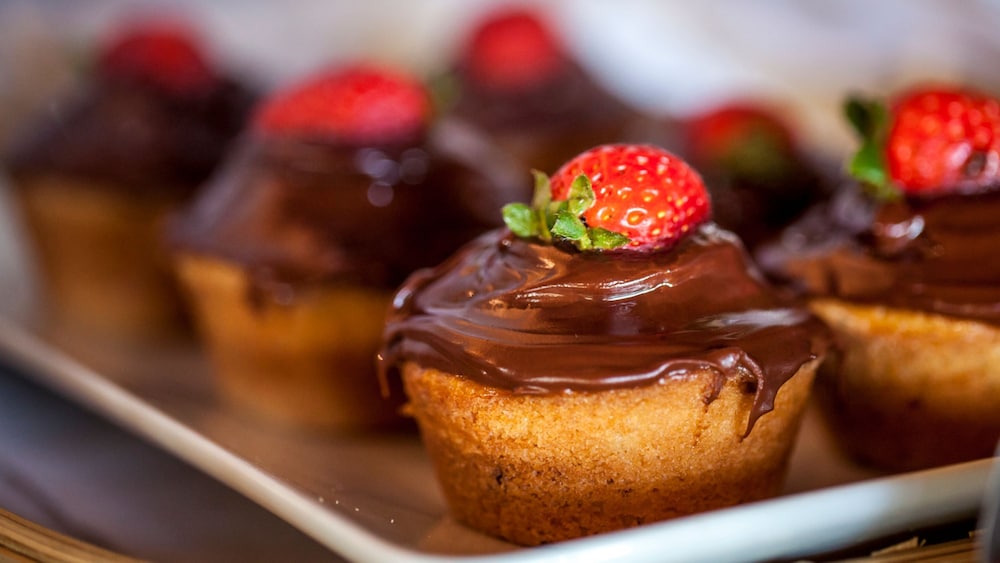 Sombra e Agua Fresca Spa Floresta 17/50